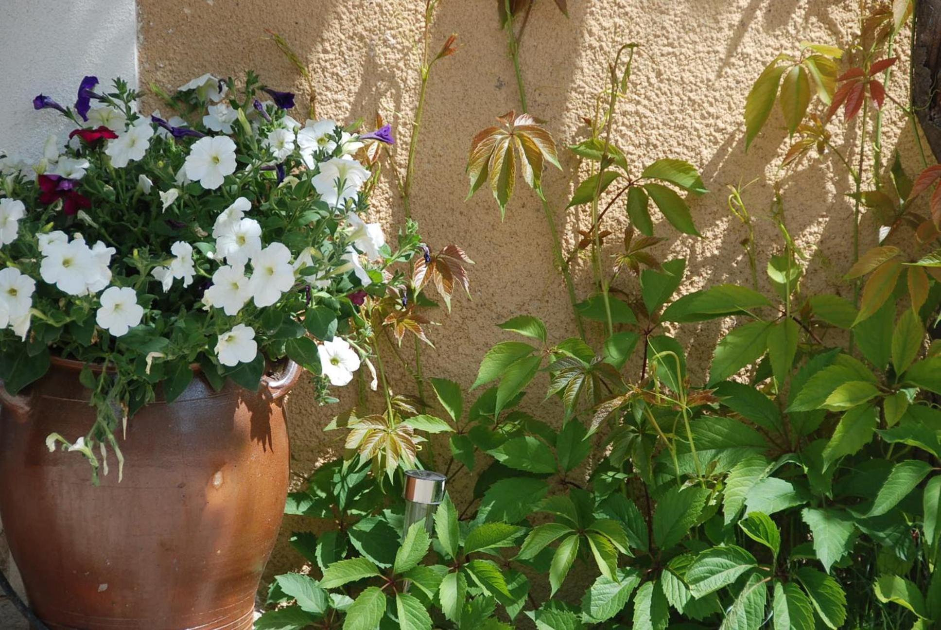 Le Domaine Jean Saint-Saturnin-d'Apt